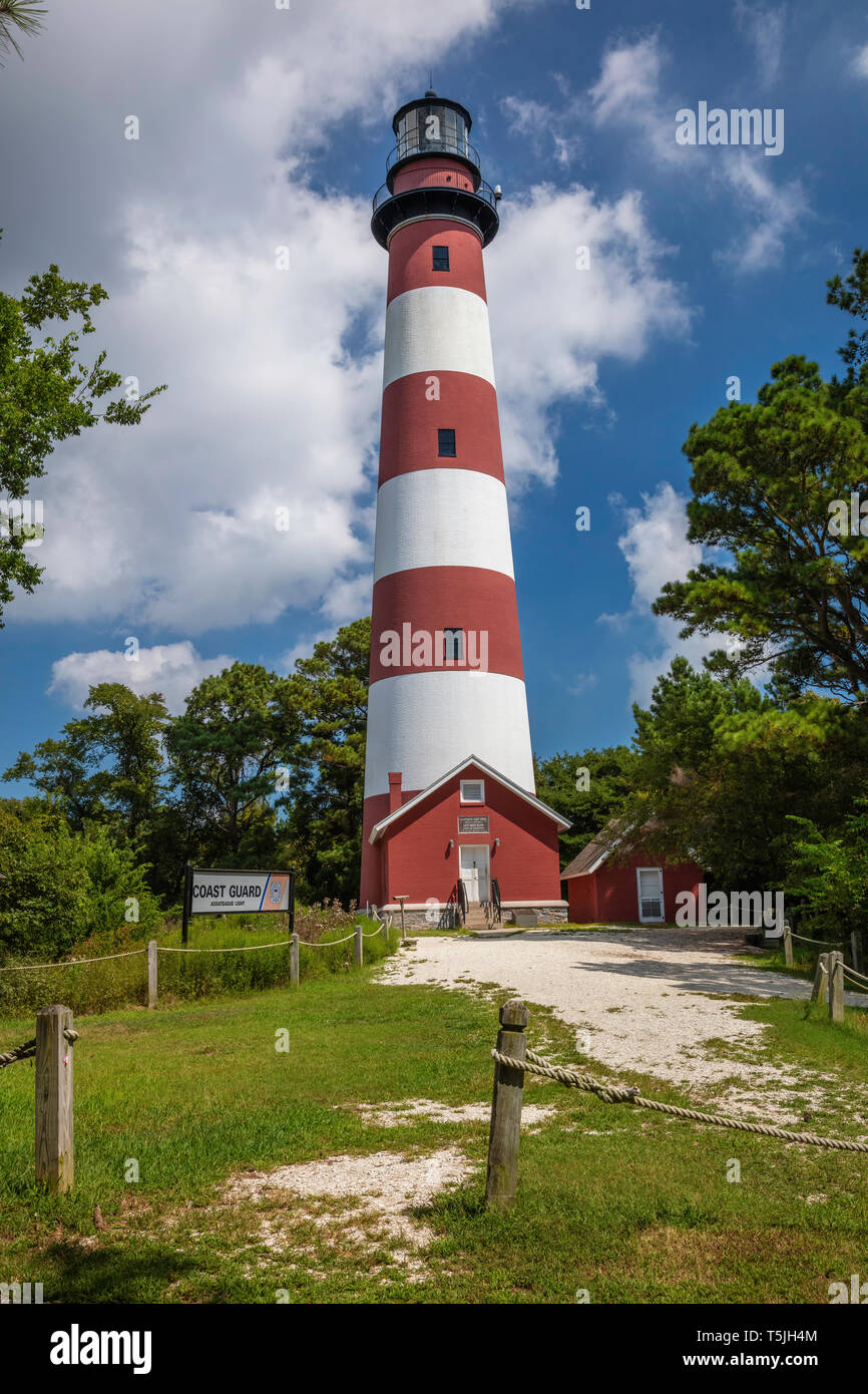 Assateague Leuchtturm, Assateague Island National Seashore, Virginia Stockfoto