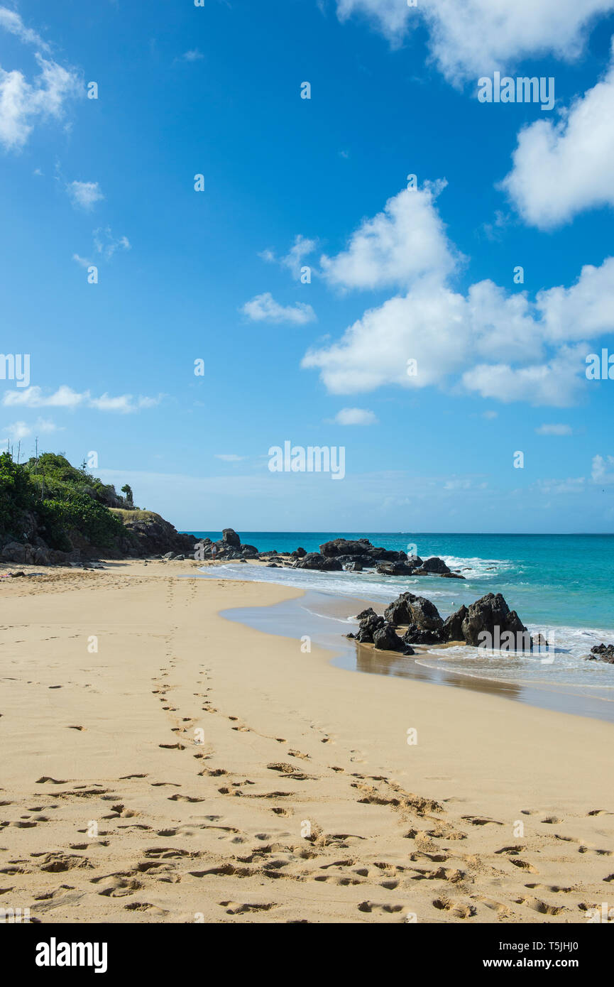 Karibik, Antillen, Sint Maarten, Happy Bay Beach, Übersee Frankreich Stockfoto