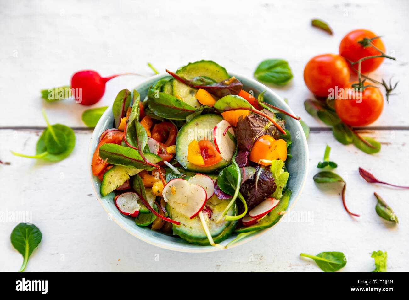 Salat mit Gurken, Tomaten, roten Rettich und Paprika Stockfoto