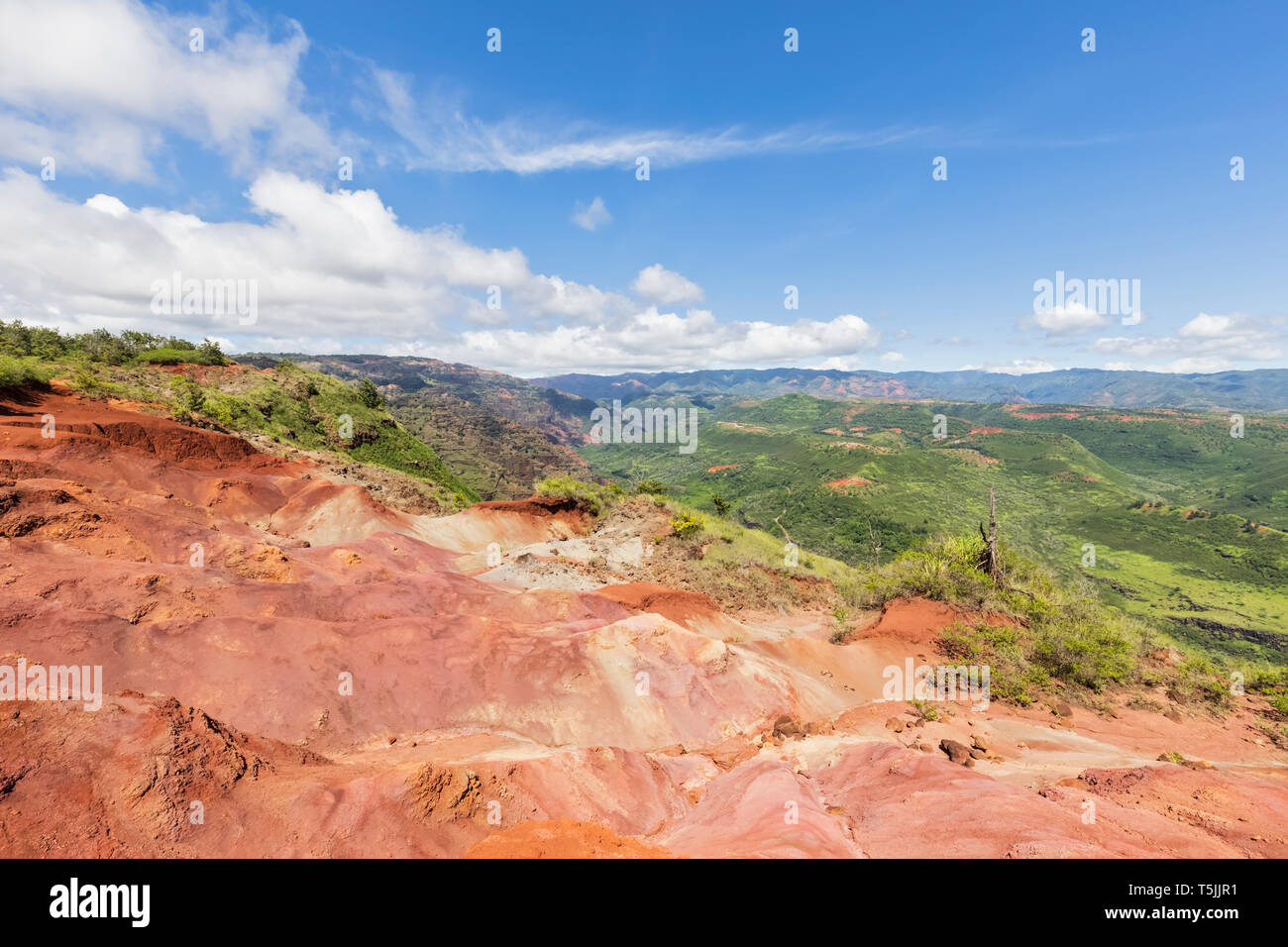 USA, Hawaii, Kaua'i, Waimea Canyon State Park, Blick zum Waimea Canyon, Waimea Graben, Mokihana Tal, Erosionen Stockfoto