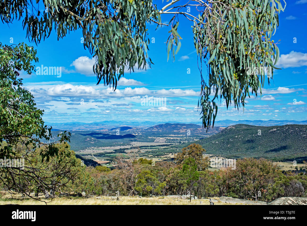 Mit Blick auf die Ländereien und Daruka, einer äußeren Vorort nördlich von Tamworth Australien. Stockfoto