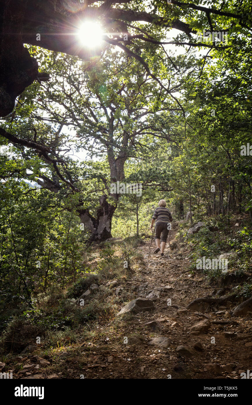 Italien, Sizilien, Castelbuono, Parco delle Madonie, Senior Frau wandern Stockfoto