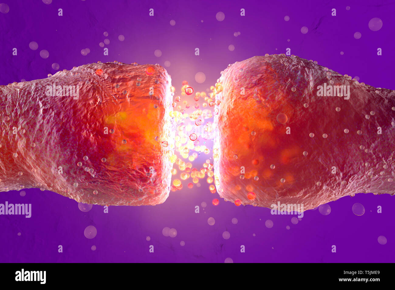 Gerenderten 3D-Illustration, Visualisierung von Neuronen feuern Neurotransmitter im synaptischen Spalt Stockfoto