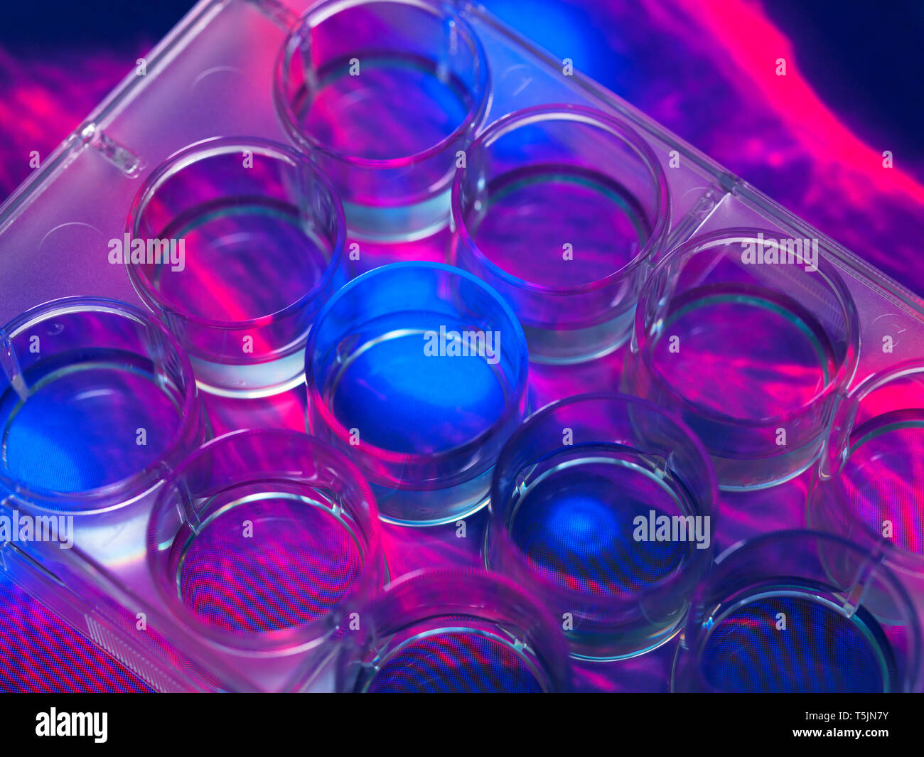 Stammzellen kultiviert rot Wachstum medium in einer Kultur Glas mit dem Mikroskop Bild der Zellstruktur im Hintergrund Stockfoto