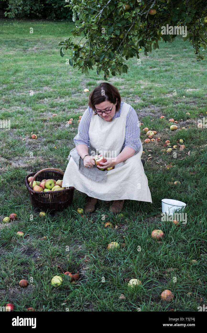 Frau sitzt in einem Obstgarten unter Apfelbaum neben Braun Weidenkorb mit frisch gepflückten Äpfel, schälen einen Apfel. Stockfoto