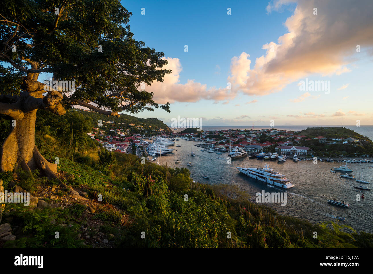 Karibik, Kleine Antillen, Saint Barthelemy, Gustavia, Hafen, Luxus Yachten bei Sonnenuntergang Stockfoto