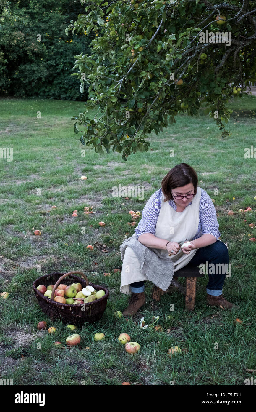 Frau sitzt in einem Obstgarten unter Apfelbaum neben Braun Weidenkorb mit frisch gepflückten Äpfel, schälen einen Apfel. Stockfoto