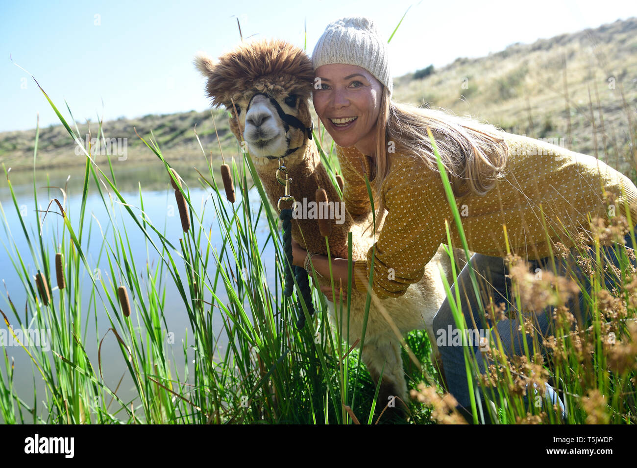 Portrait von lächelnden blonde Frau Kopf mit Alpaka in der Natur zu Kopf Stockfoto