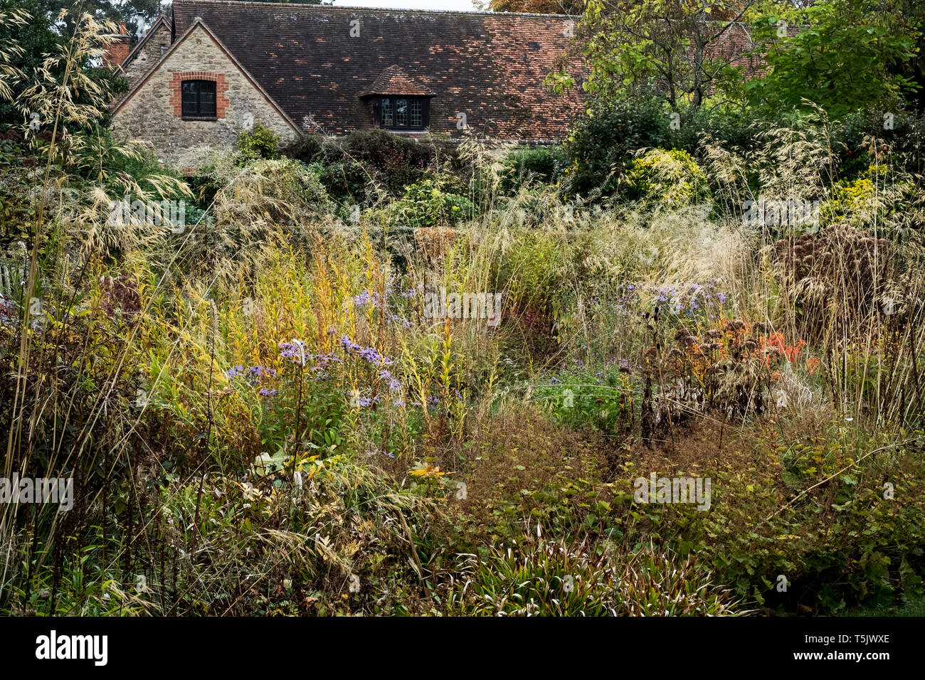 Einer wiese Bepflanzung im Garten eines Hotels, lange Gräser und Herbst Laub im Garten. Stockfoto