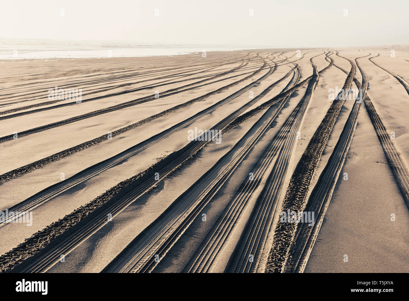 Spuren auf dem weichen Untergrund aus Sand am Strand. Stockfoto