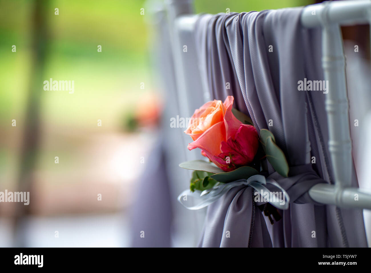 Dekoriert Hochzeit stuhl mit rosa Rose. Rosa Rose auf der Rückseite des Lehrstuhls für Hochzeit gebunden. Stockfoto