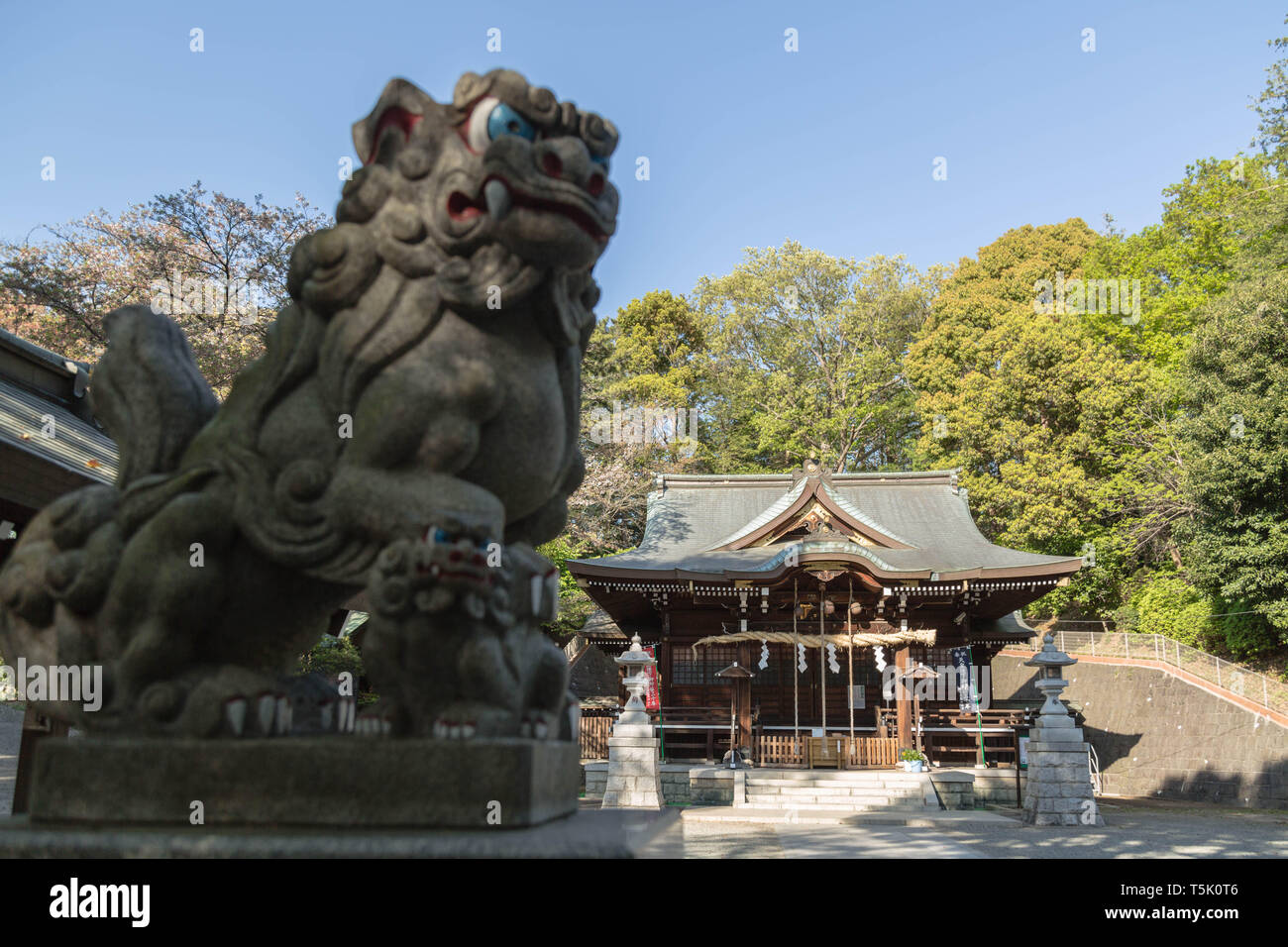 An der Spitze der langen Treppe, der zuerst von foo Hund begrüßt, aber Japanische nennen es "Koma inu auf Koreanisch Hund übersetzt, bewacht seine Prämisse der Maginu Schrein. Stockfoto