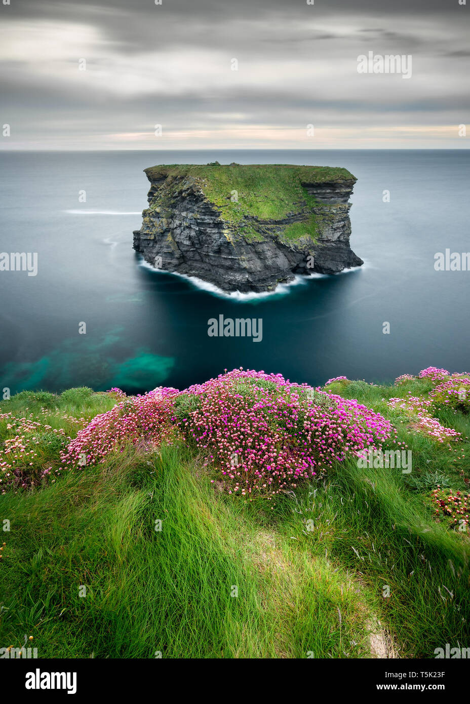 Bishop's Island, in der Nähe von Kilkee, auf der Küste von Clare Irland Stockfoto
