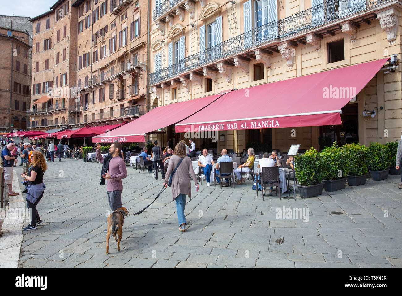 Piazzo del Campo, historische fächerförmigen Square in der mittelalterlichen Stadt Siena, Toskana, Italien Stockfoto