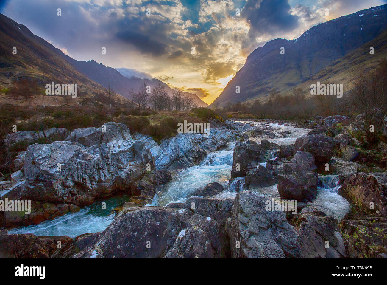 Rotwild in Etive Tal, Highlands von Schottland Stockfoto