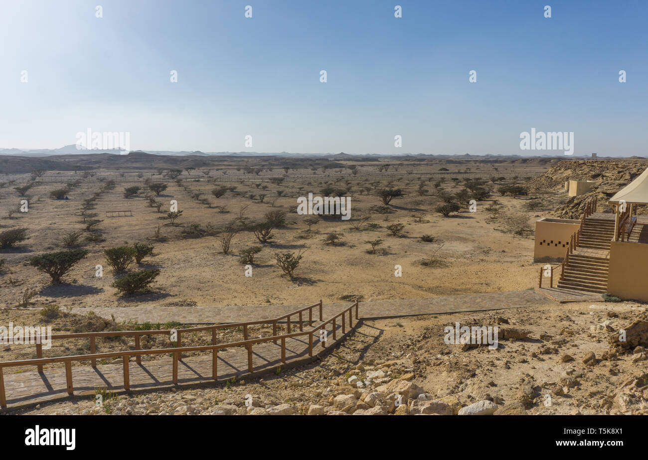 Land des Weihrauchs, UNESCO-Welterbe, Dhofar region, Oman Stockfoto