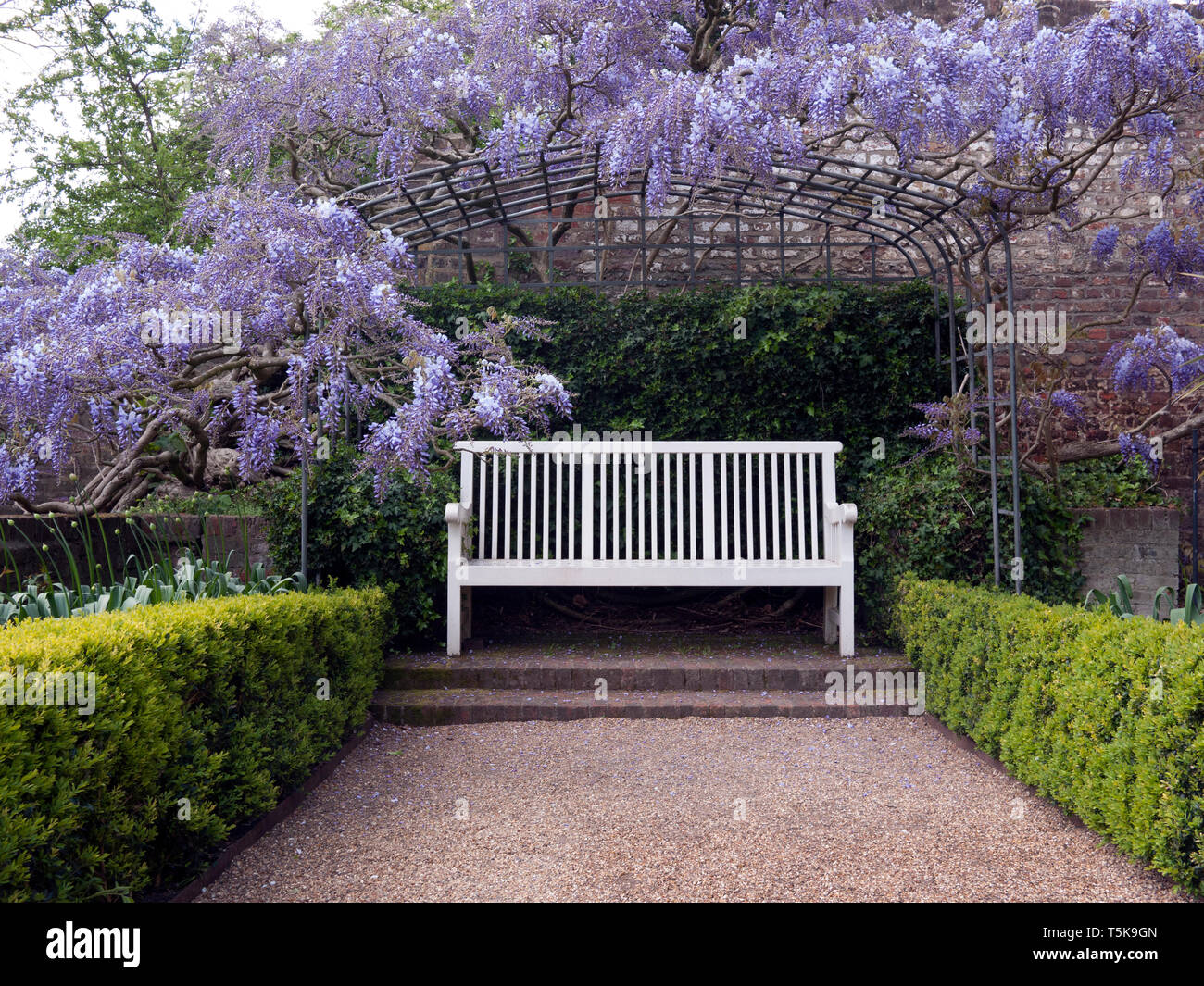 Weien Garten Sitzplatz in einer Wisteria Pergola Stockfotografie - Alamy