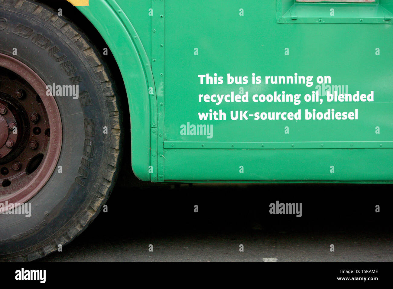 Caroline Lucas, Mdep auf der Wahlkampagne für die Europawahlen 2009. Oxford. 20.05.2009 Stockfoto