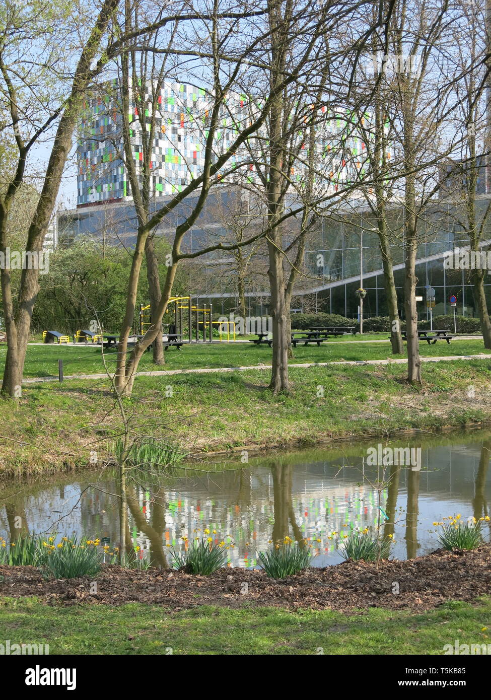 Blick auf die Weiten der Rasen und See in Utrecht botanischen Garten mit den Gebäuden der Universität Science Park in der Ferne; Fort Hoofddijk Stockfoto