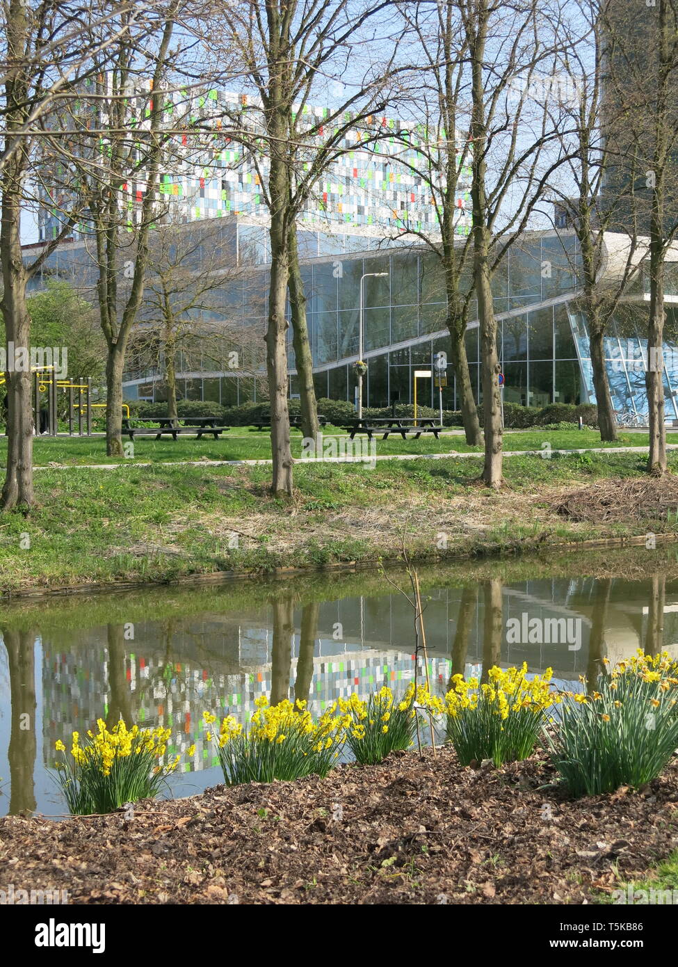 Blick auf die Weiten der Rasen und See in Utrecht botanischen Garten mit den Gebäuden der Universität Science Park in der Ferne; Fort Hoofddijk Stockfoto