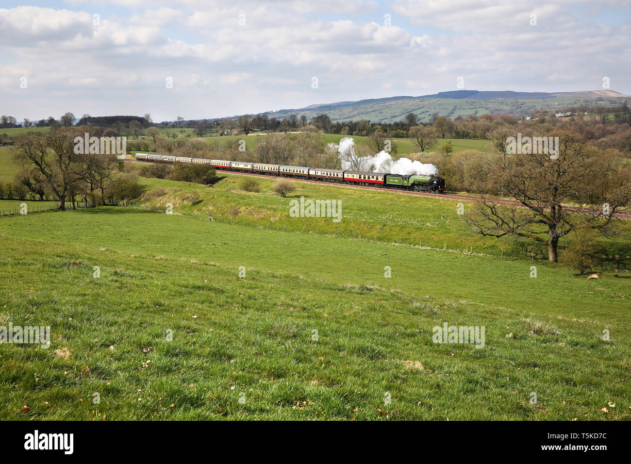60163 Tornado Köpfe entlang der Ribble Valley mit einem UK Railtours Reise. Stockfoto