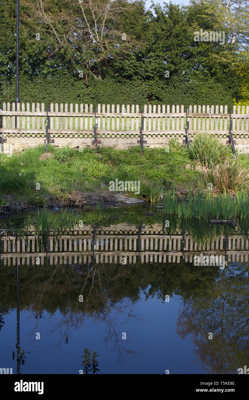 Zaun, Büsche und Bäume im Teich wider - Portrait Bild Stockfoto