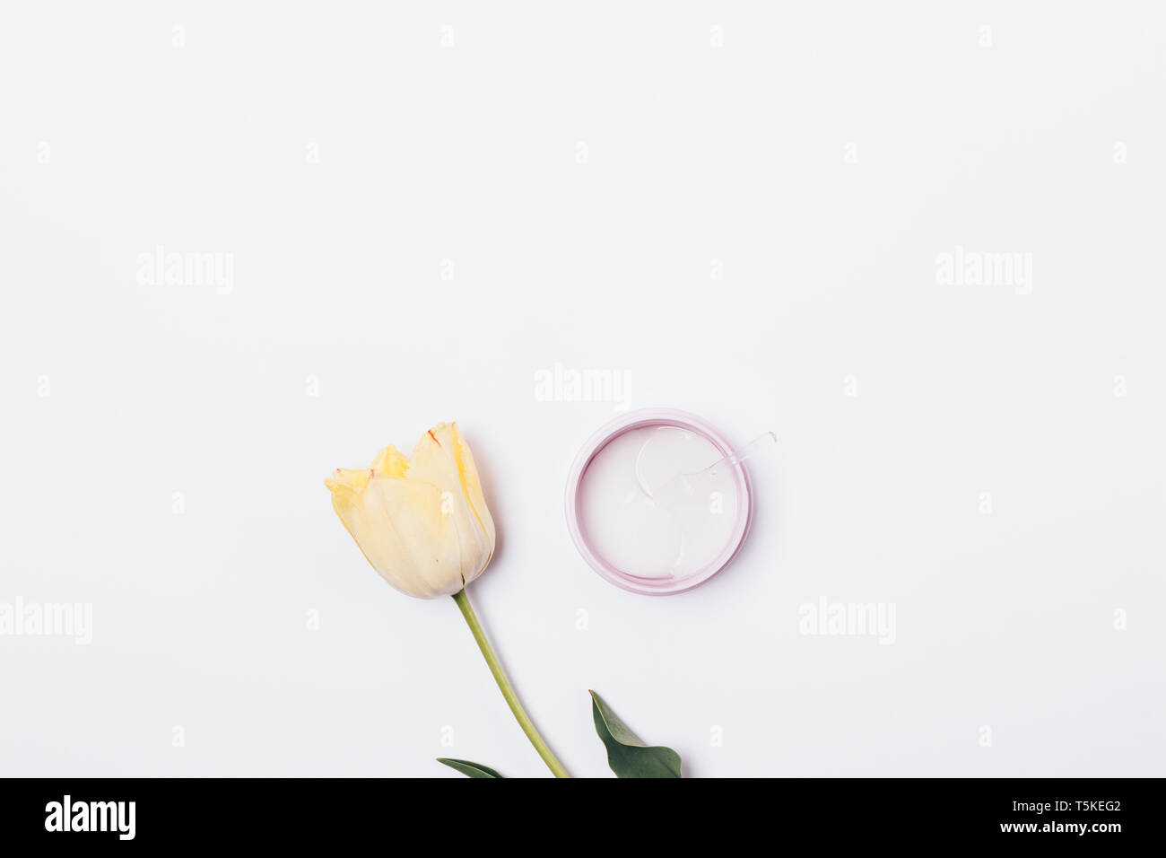 Jar kosmetischer Patches für die Haut unter den Augen Neben zarten Tulpe Blume auf weißem Hintergrund, minimale flach Komposition. Stockfoto
