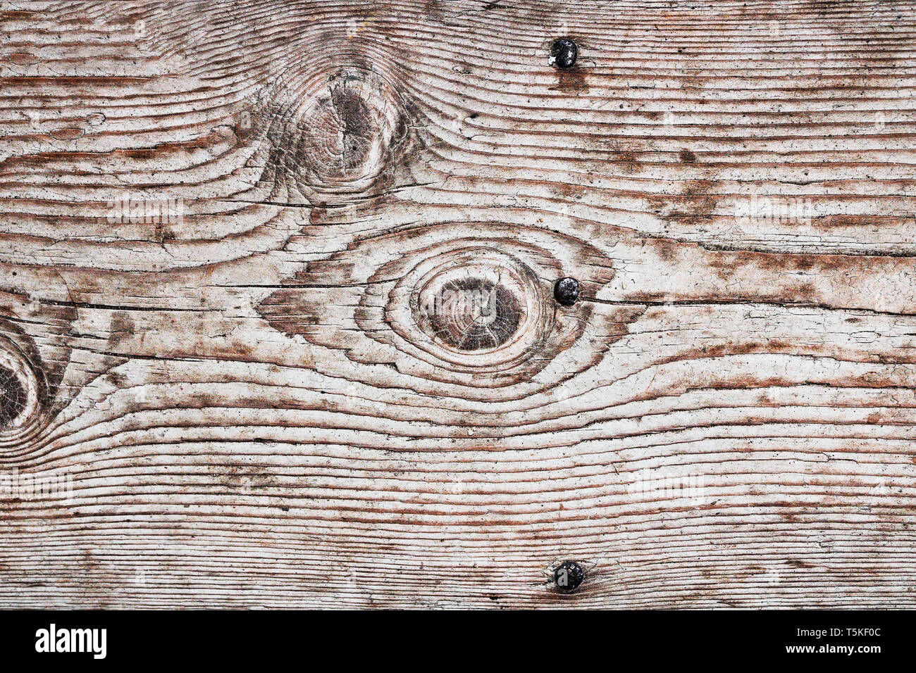 Detail eines Knoten auf Holzbrett bereit für ihr Design Fichte Stockfoto