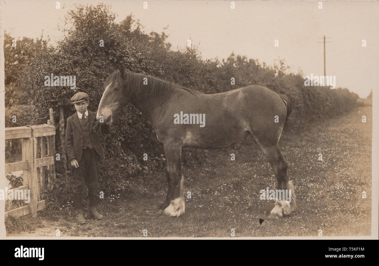 Jahrgang fotografische Postkarte von einem Jungen und seinem Pferd. Möglicherweise an Saffory Farm, Faversham. Stockfoto
