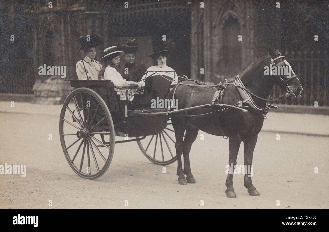 Jahrgang fotografische Postkarte von vier modischen jungen Damen und Frauen in ein Pferd und Buggy fahren. Stockfoto