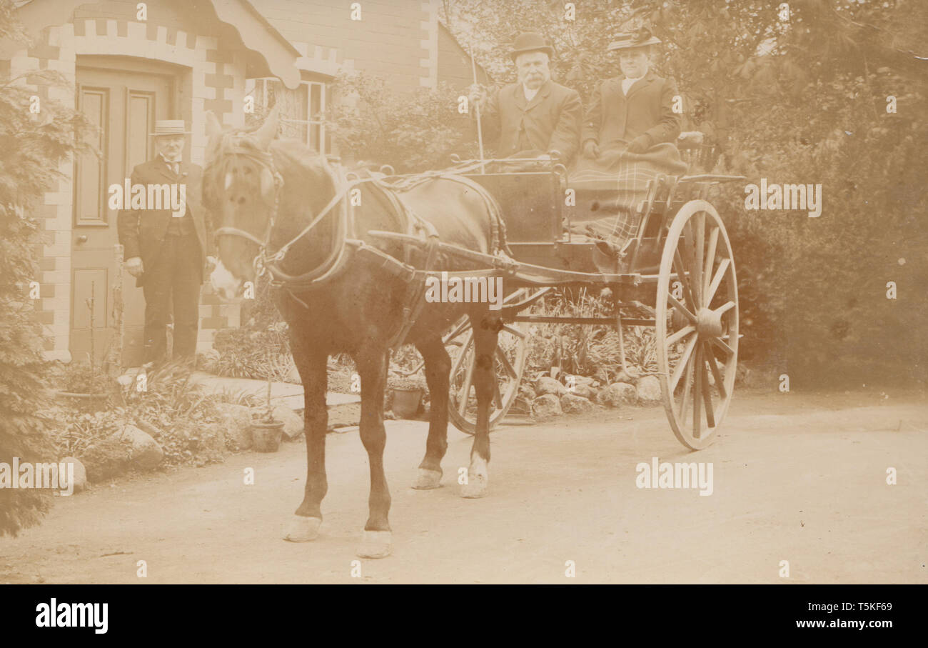 Jahrgang fotografische Postkarte von einem britischen Ehepaar in einem Pferd und Buggy fahren. Stockfoto