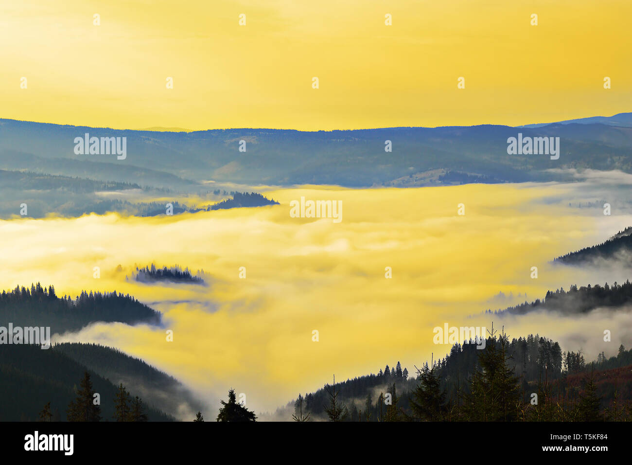 Nebeliger morgen in Karpaten, schöne Landschaft vor Sonnenaufgang Stockfoto
