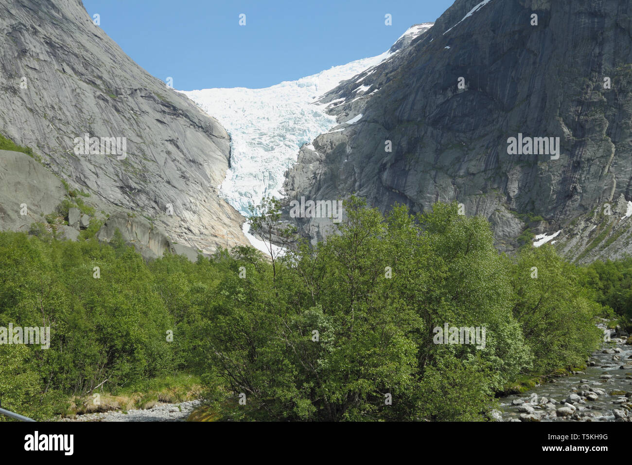 Grüne Tal und Gletscher Briksdalsbreen. Olden, Norwegen Stockfoto