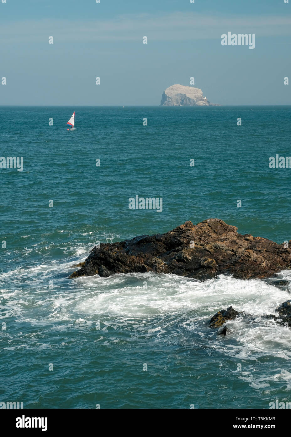 Ein Blick auf die Bass Rock mit kleinen Segelbooten im Vordergrund, von der North Berwick Küste an einem sonnigen Tag, East Lothian, Schottland Stockfoto