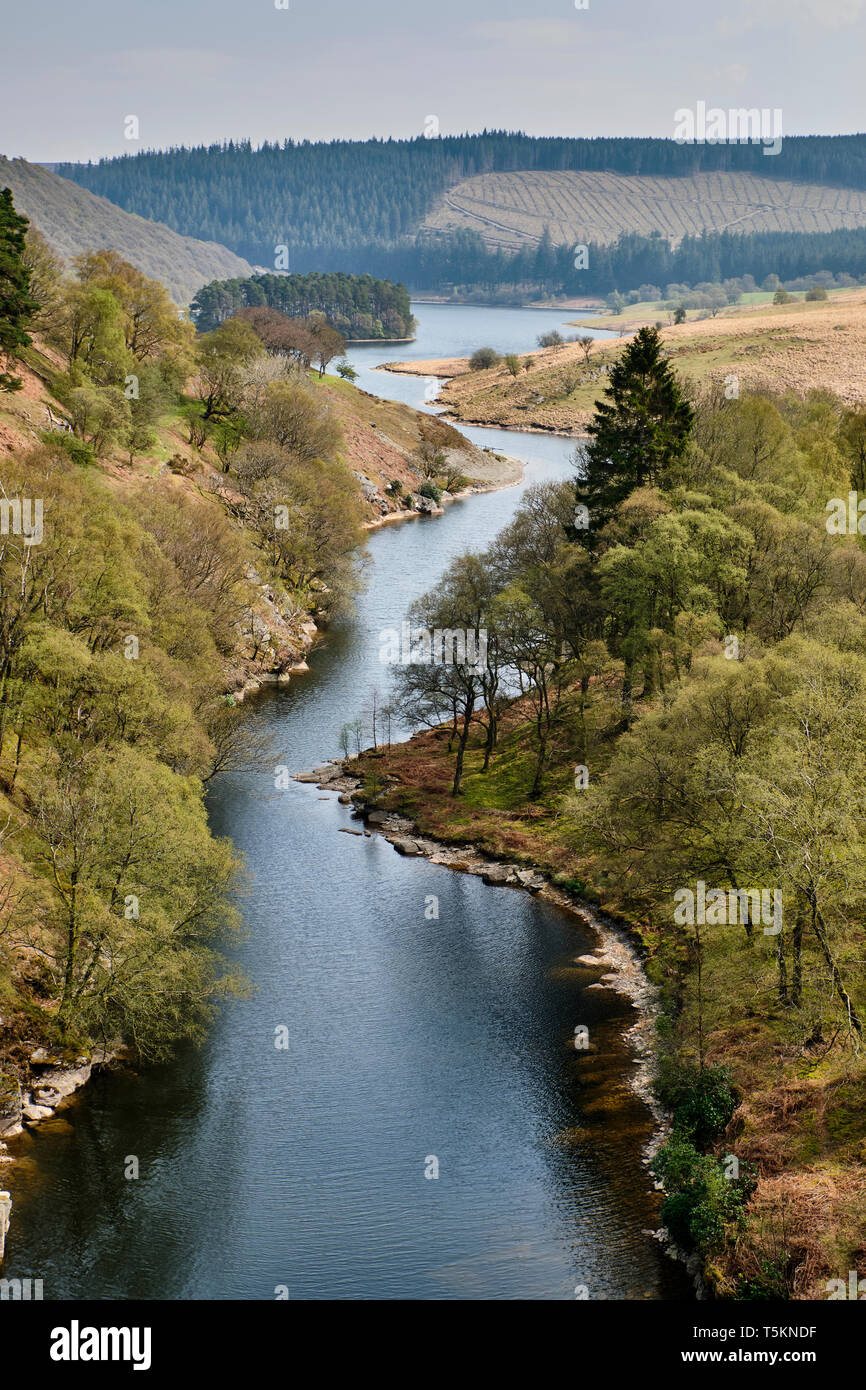Auf der Suche nach Pen y Garreg Damm am Elan Valley, Powys, Wales Stockfoto