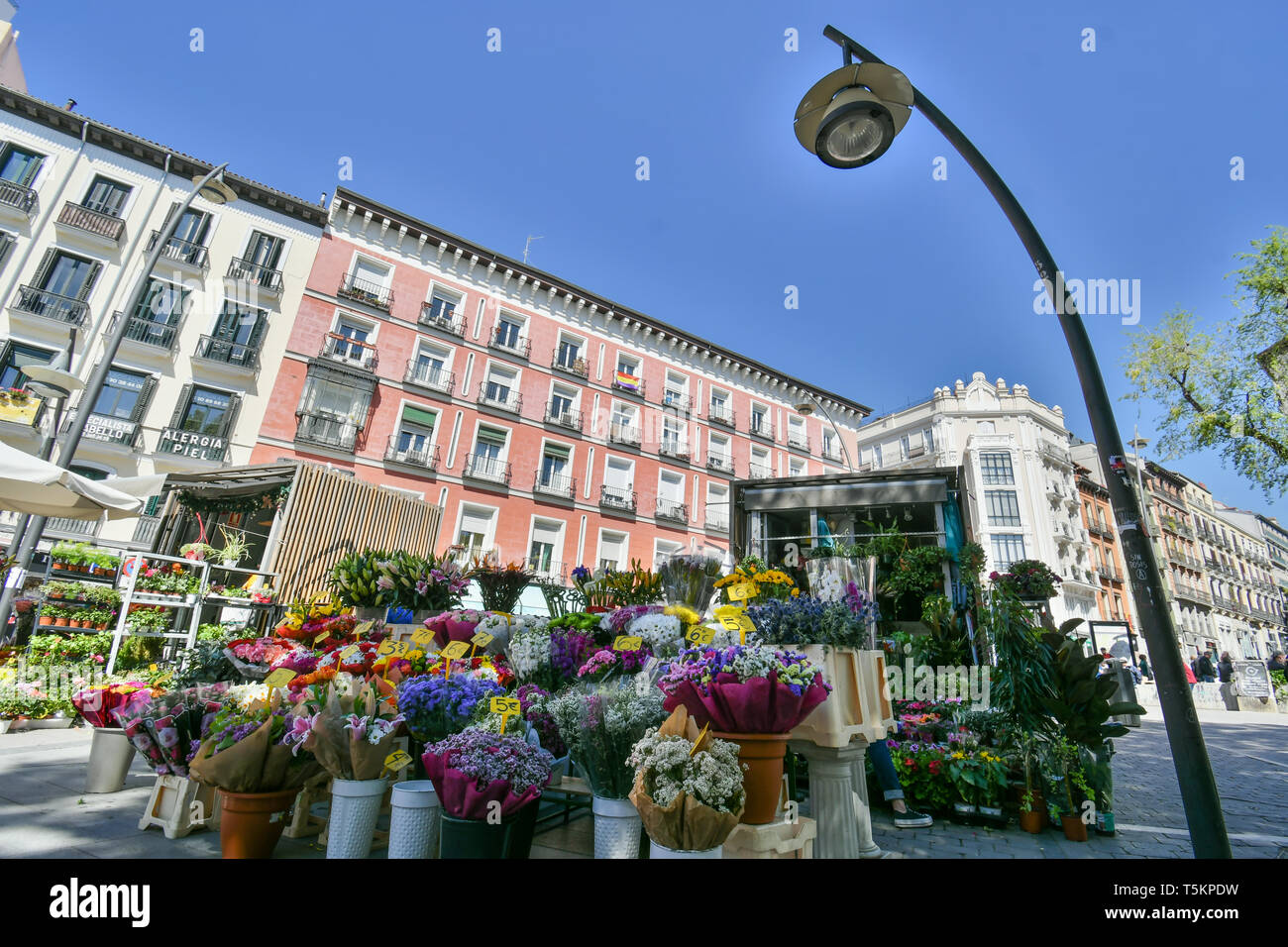 Verkauf von Blumen durch die Straßen der Innenstadt von Madrid Stockfoto