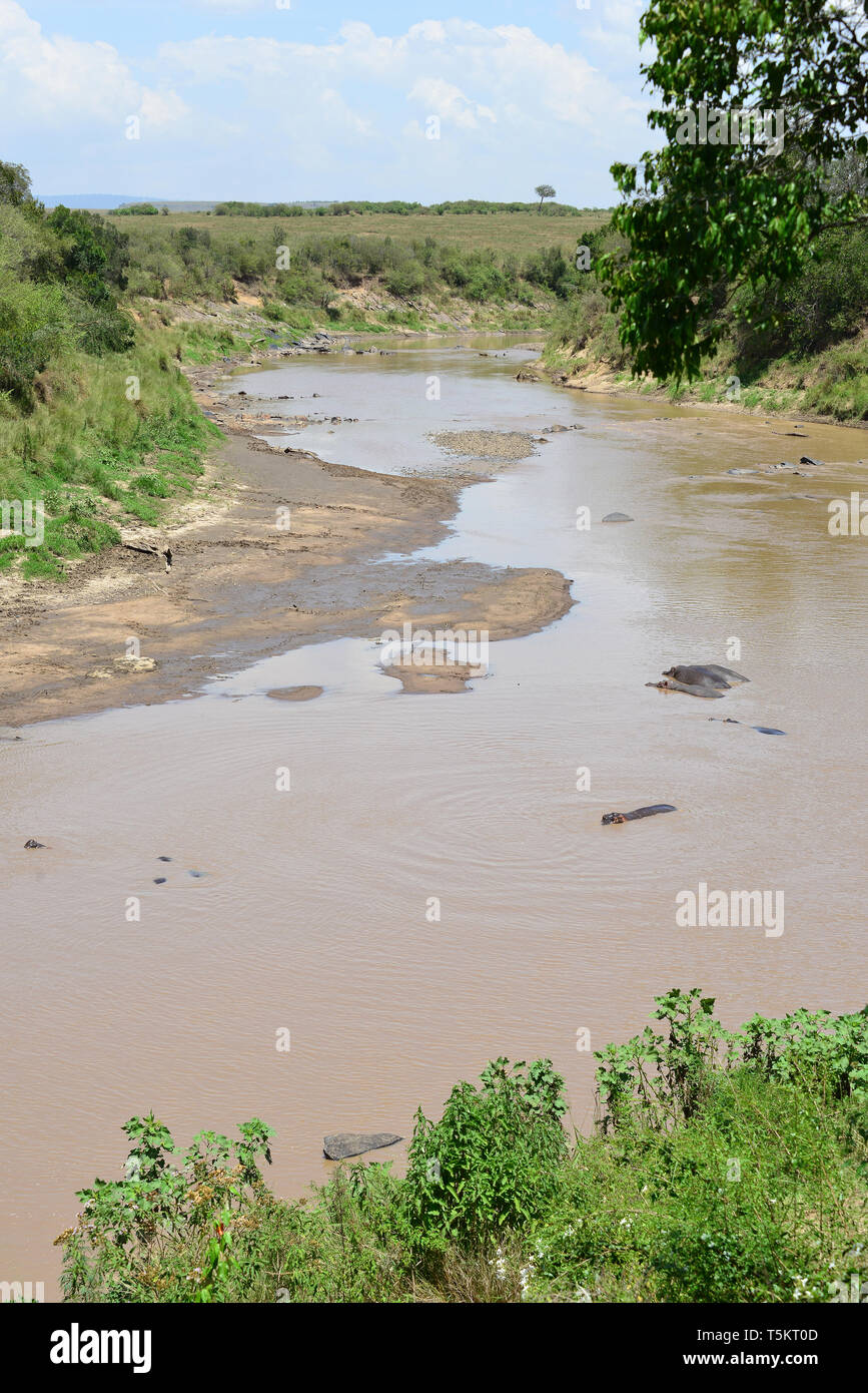 Mara-Fluss, Massai Mara, Kenia, Afrika Stockfoto