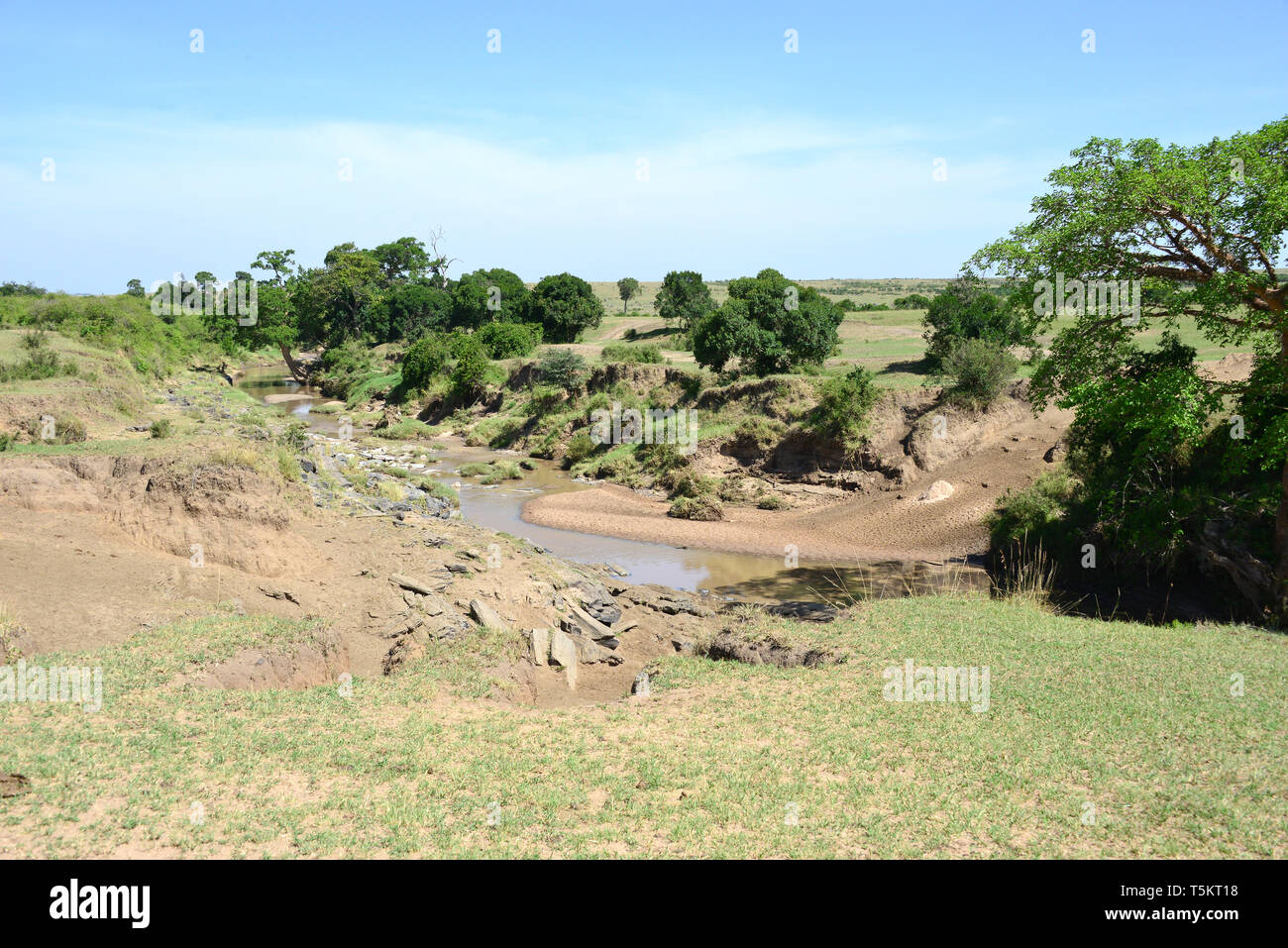 Talek Fluss, Masai Mara, Kenia, Afrika Stockfoto