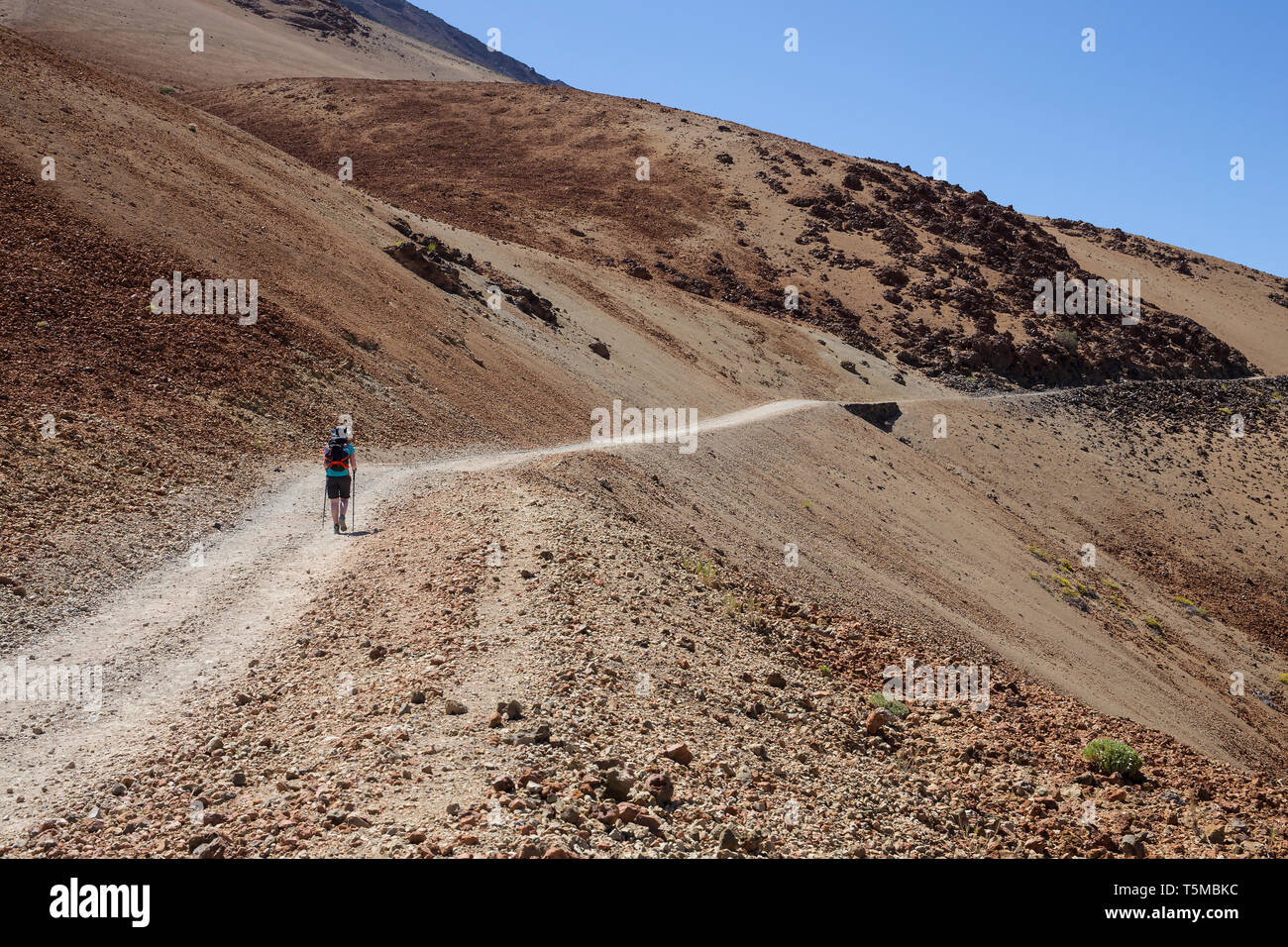 Frau Klettern am Weißen Berg Straße zum Teide, Teneriffa, Kanarische Inseln, Spanien. Stockfoto