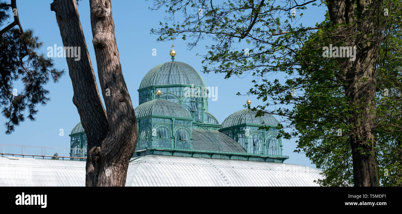 Die Königlichen Gewächshäuser in Laeken, Heimat der Königlichen Familie, bestehend aus einem Komplex von einer Reihe von Gewächshäuser einschließlich der Kongo Gewächshaus. Stockfoto