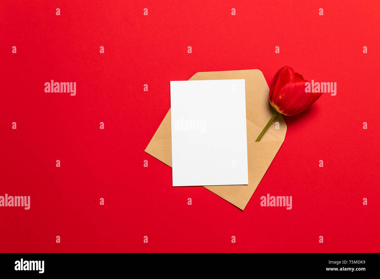 Leere weiße Karte mit Kraftpapier braun Papier Umschlag Vorlage Mockup und rote Tulpe auf rotem Hintergrund, Ansicht von oben mit Platz für Text Stockfoto