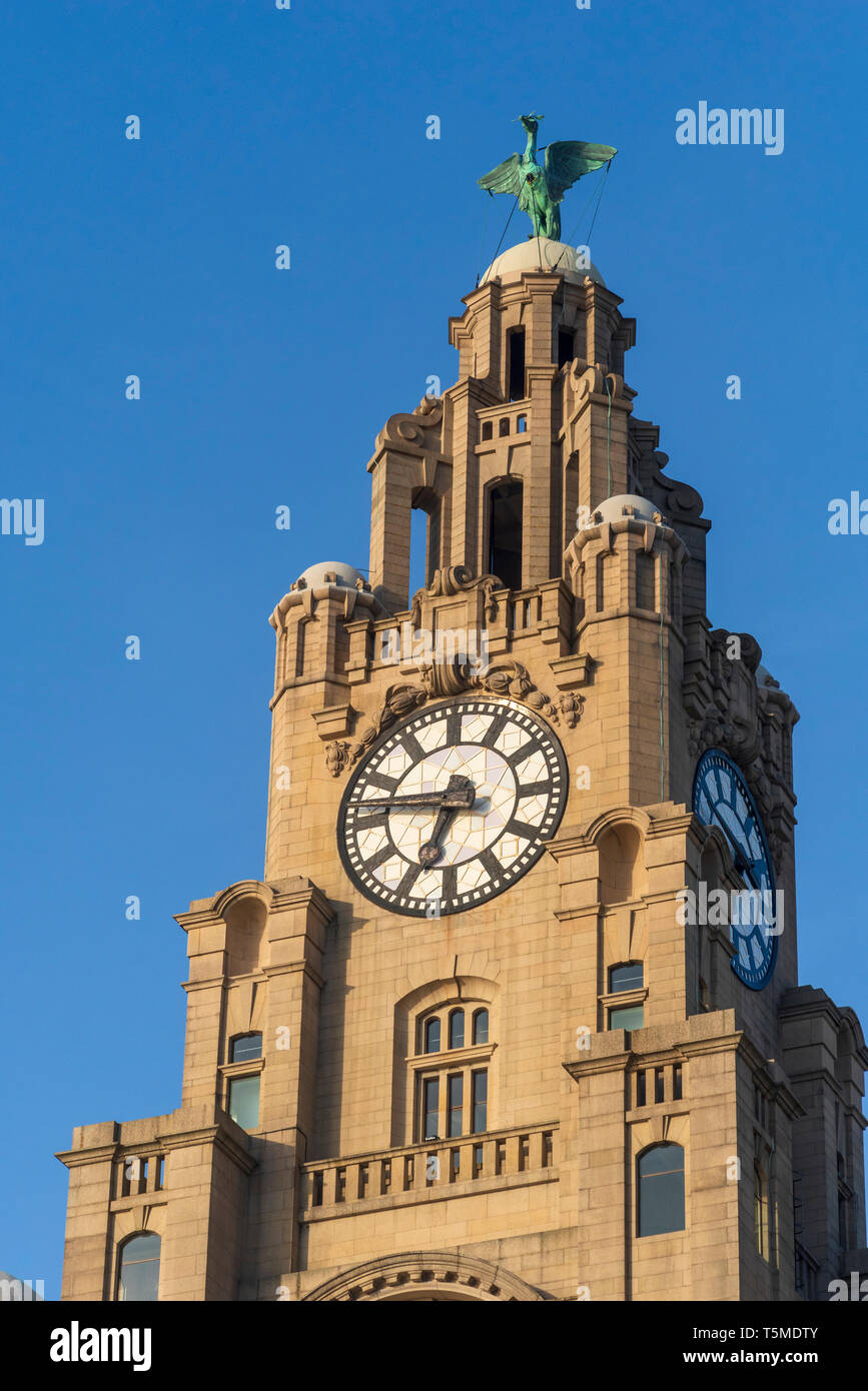 Das Royal Liver Building, Uhr, Liverbird, Tower Stockfoto