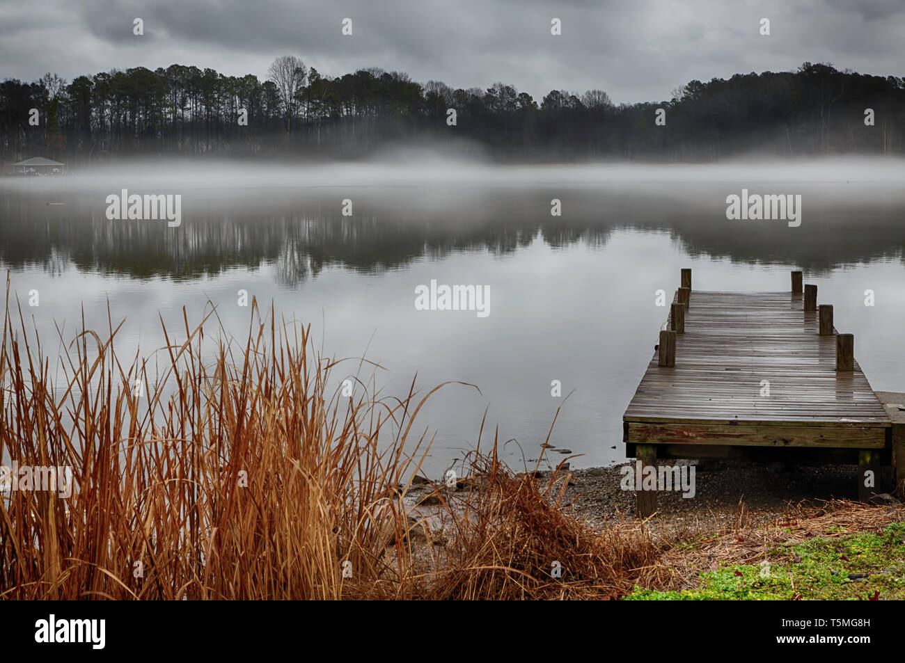 Nebligen Nachmittag auf Lake Guntersville, Alabama Stockfoto