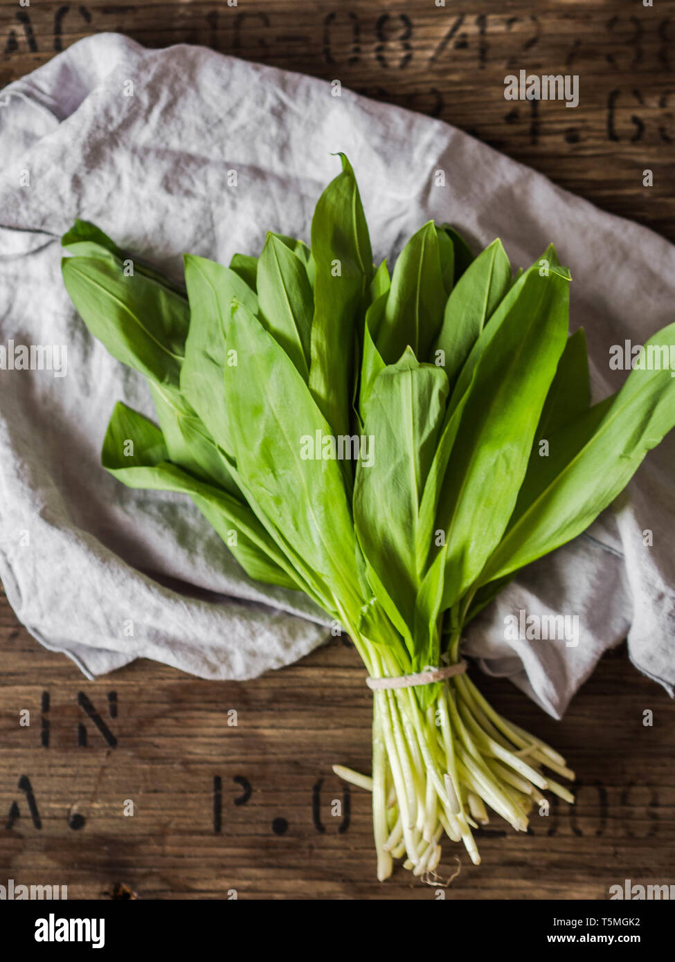 Bündel frische Ernte des Frühlings Bärlauch oder wilde Lauch kraut Blätter Bündel auf rustikalen Holzmöbeln Hintergrund Stockfoto