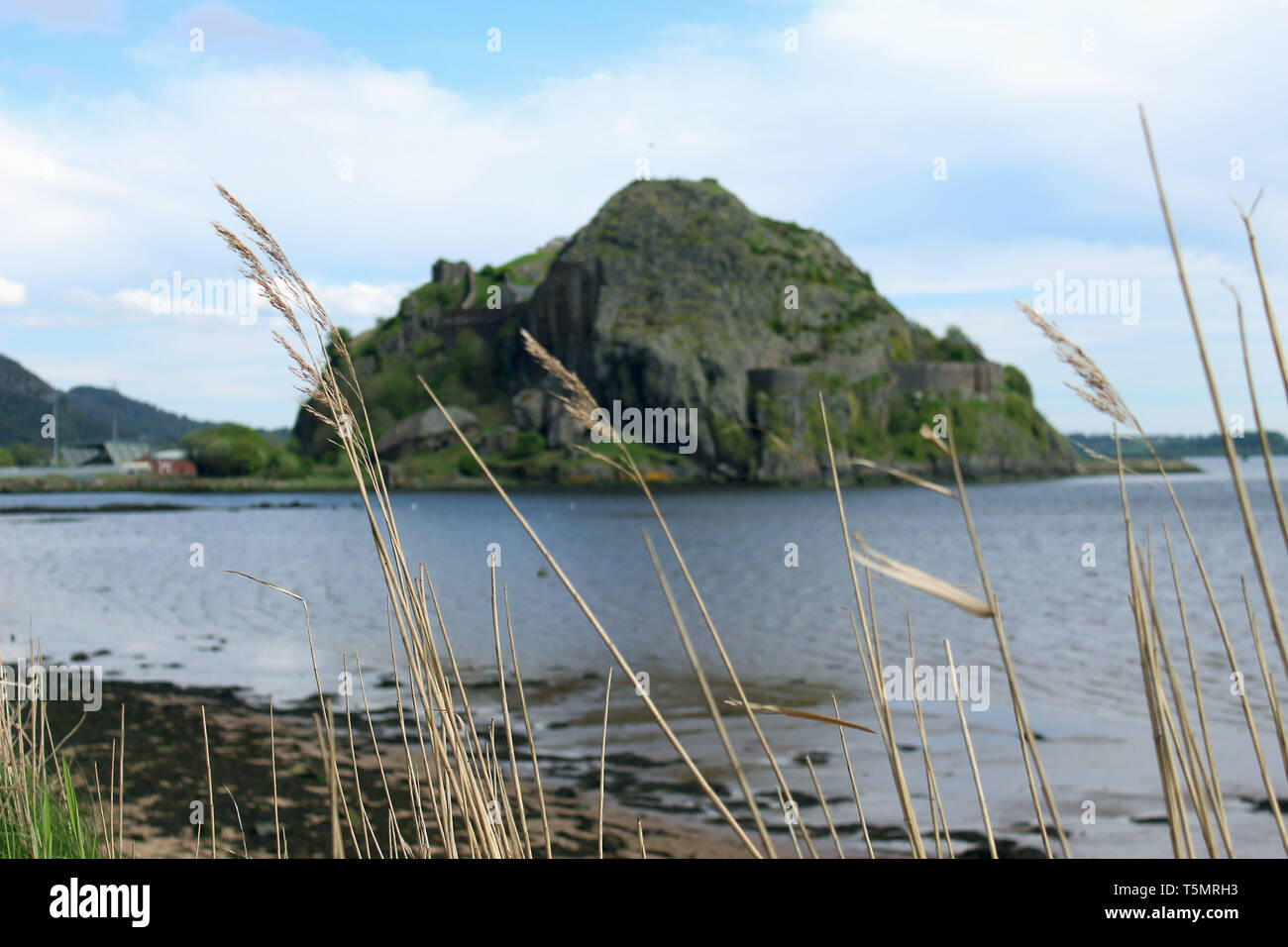 Dumbarton Rock suchen durch das Gras Stockfoto