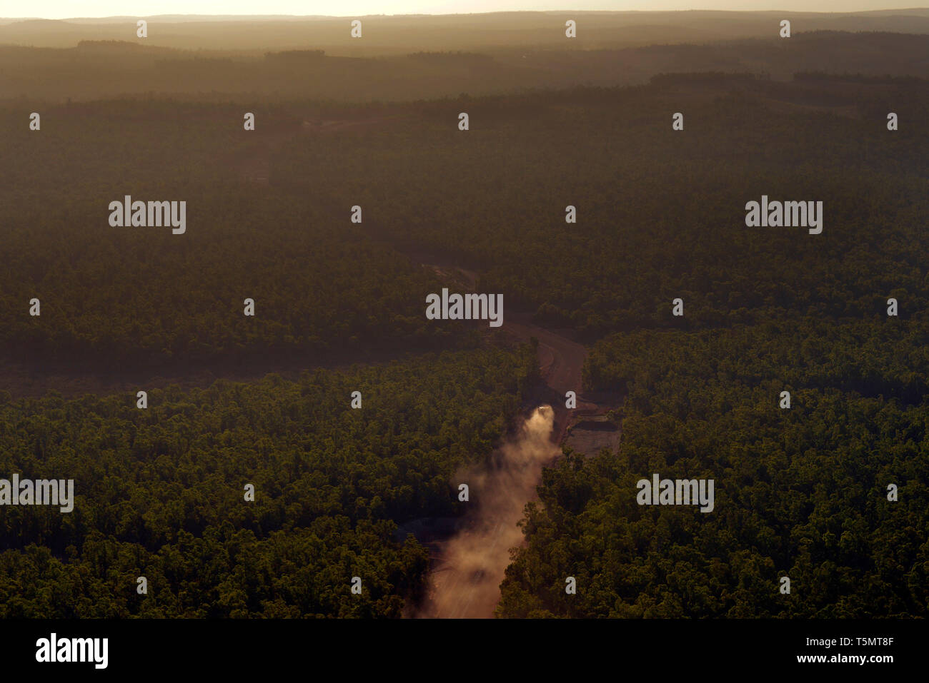 Eine Luftaufnahme eines Fahrzeugs eine Staub Trail, auf einer unbefestigten Piste durch den Busch im Süden von Western Australia. Stockfoto