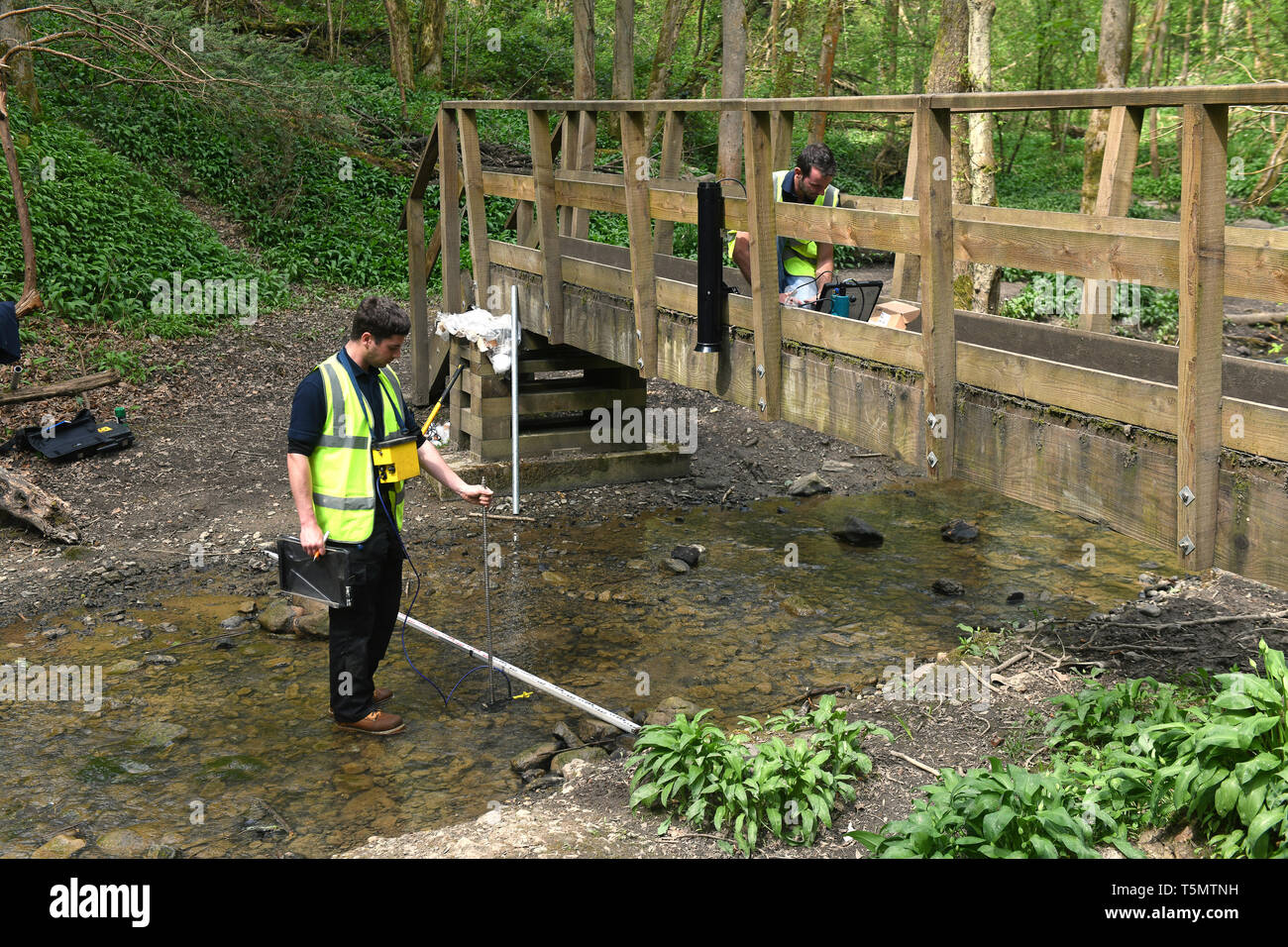Hydrologen Umweltwissenschaftler Überwachung der Durchflußmenge von Lyde Bach in Loamhole Dingle, Coalbrookdale, Shropshire, Großbritannien Stockfoto
