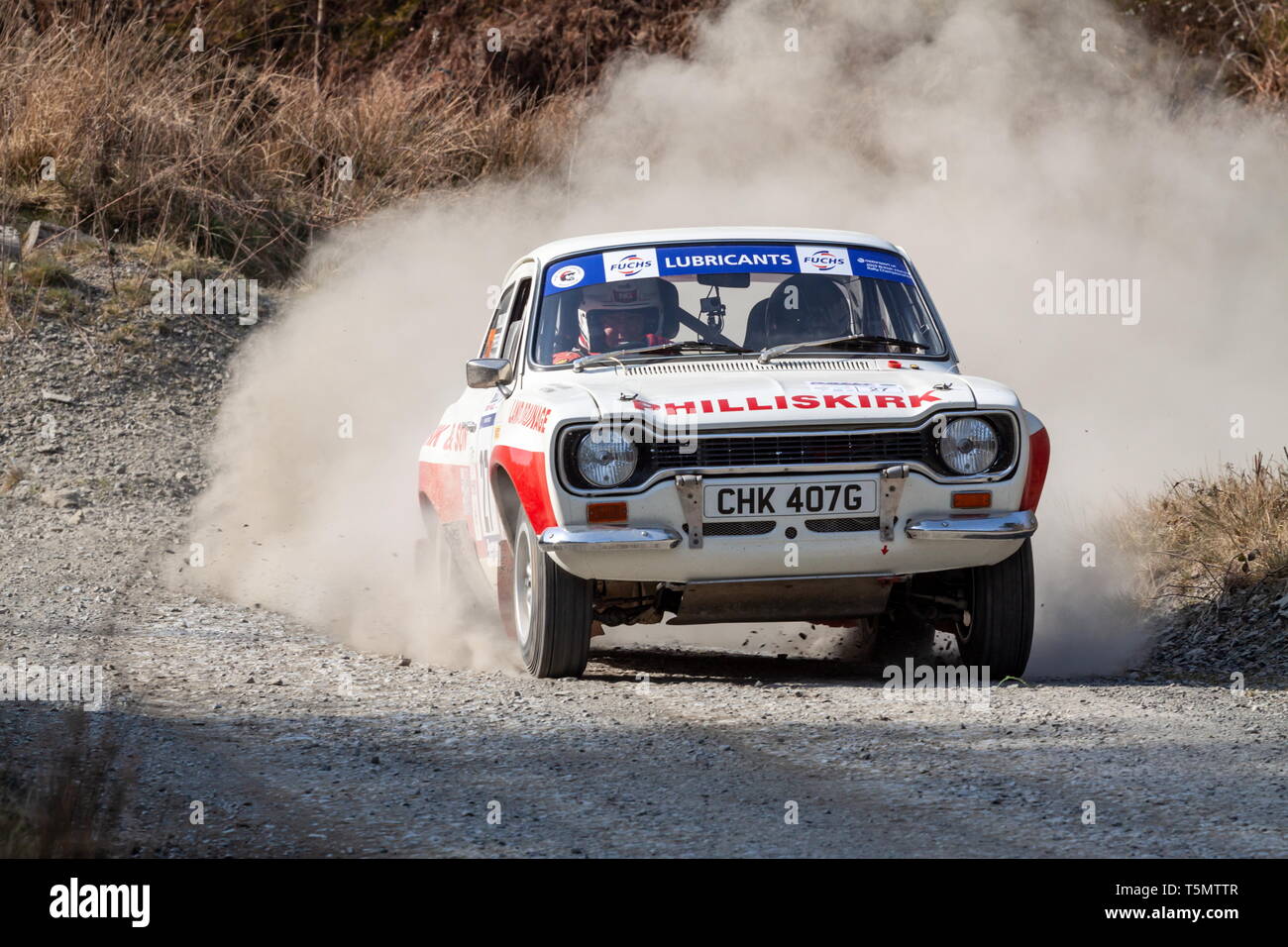 Eine Mki Ford Escort Rally Car wirft etwas Staub aus einer Ecke auf der Kundgebung von North Wales, Gartheiniog Wald Stockfoto