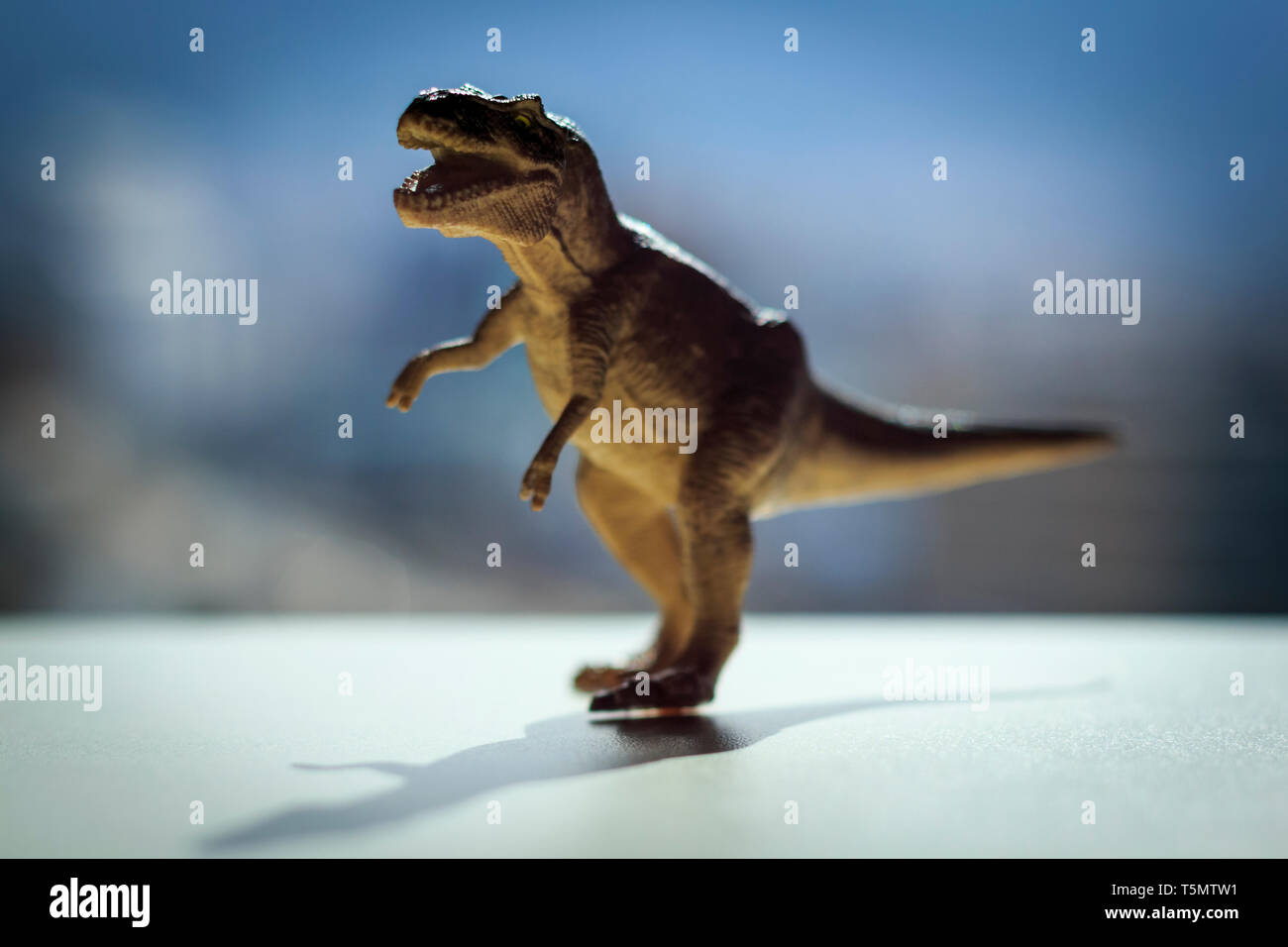 T-Rex Dinosaurier Spielzeug mit einem unscharfen Hintergrund Stockfoto