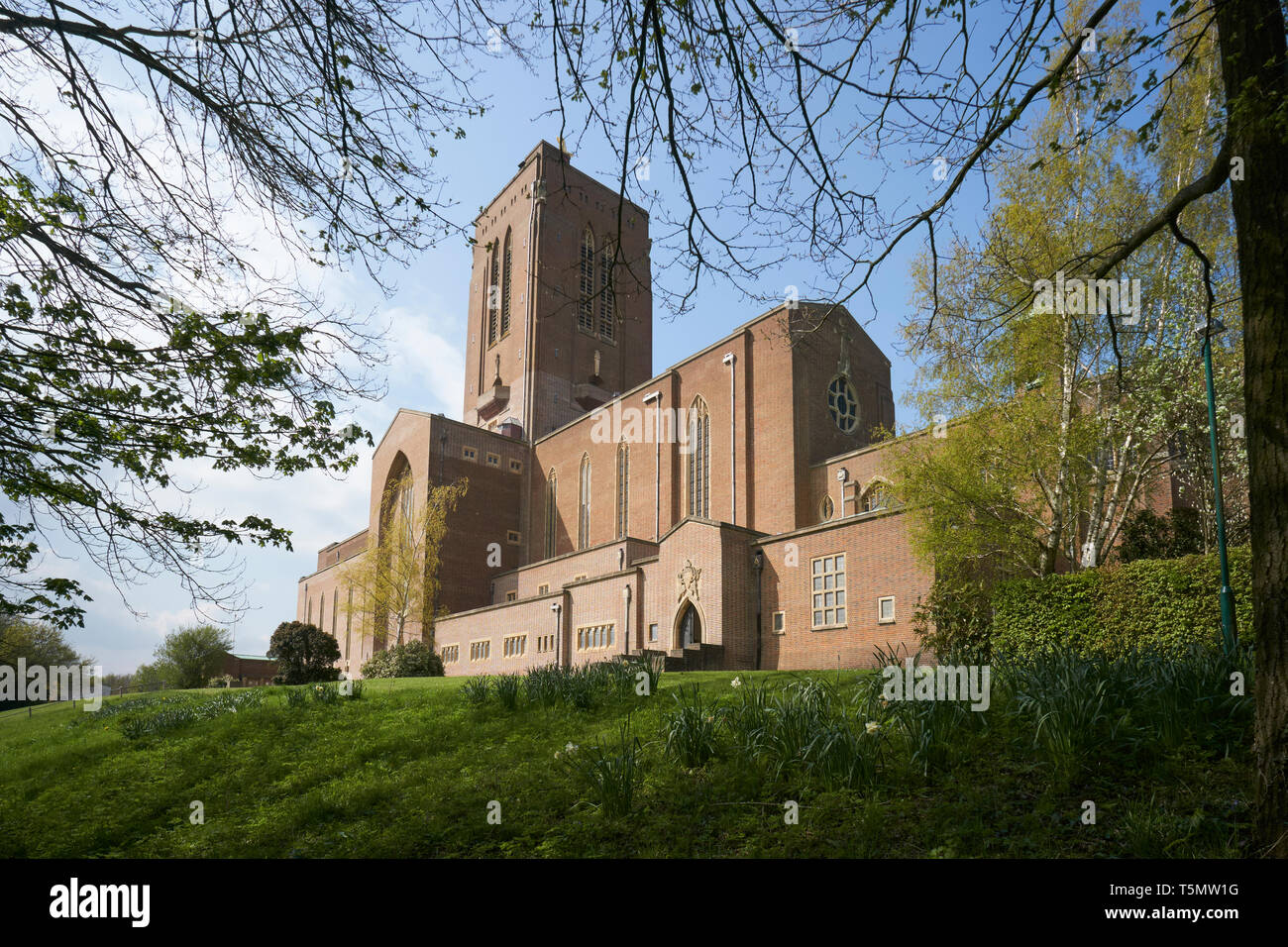 Die Kathedrale von Guildford, Surrey, England, Großbritannien Stockfoto